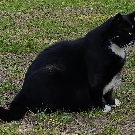 Haus Magarethe Am 3*